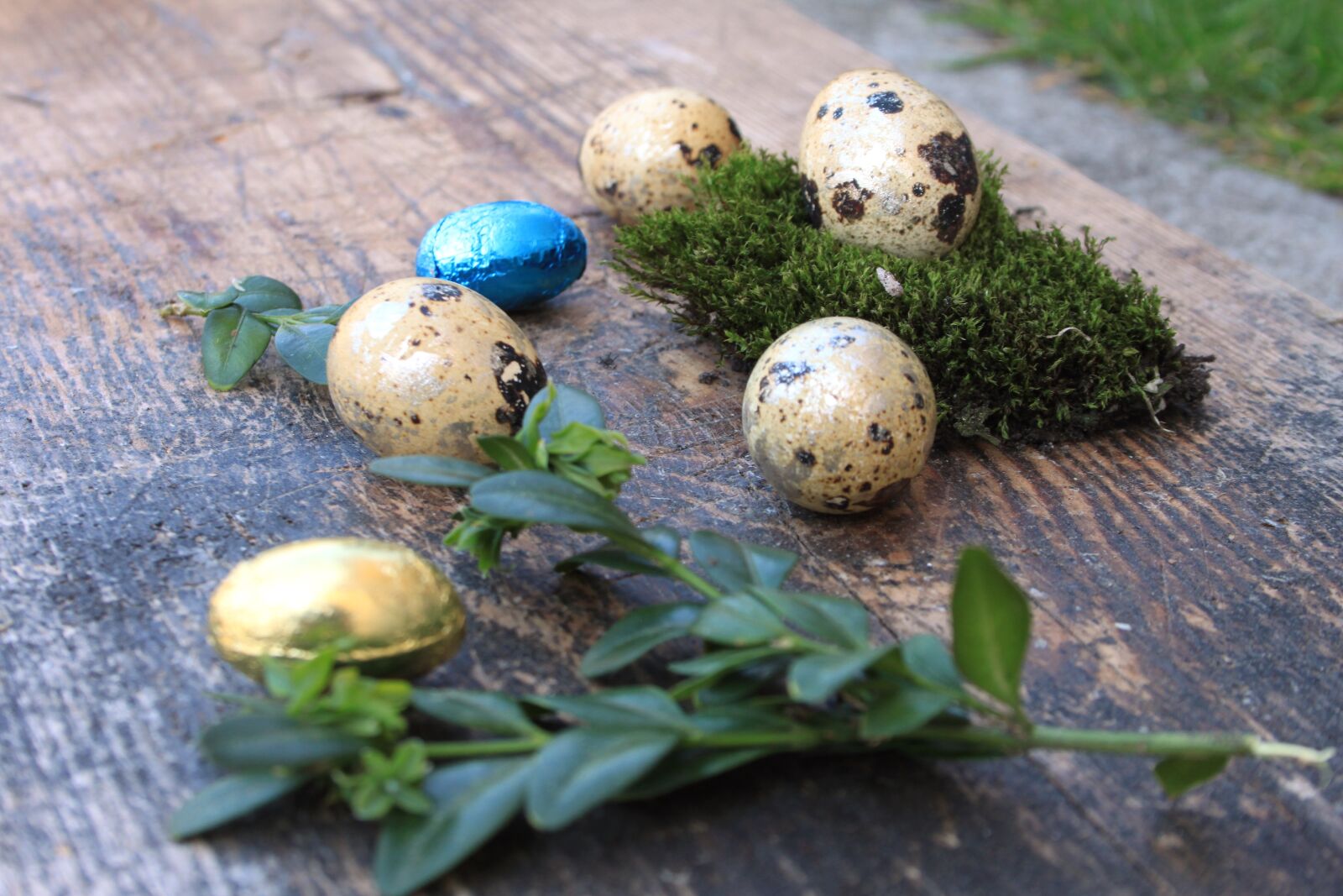 Canon EOS 500D (EOS Rebel T1i / EOS Kiss X3) sample photo. Egg, eggs, easter photography