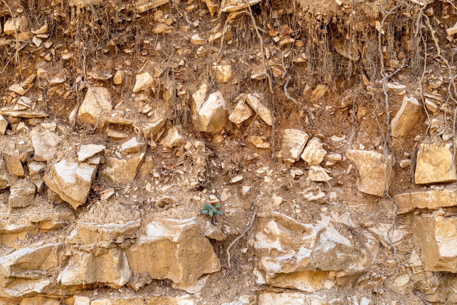 Nikon D5600 sample photo. Stones, texture, earth photography