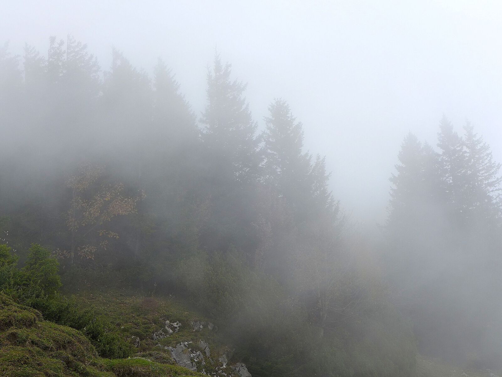 Panasonic Lumix DMC-LX7 sample photo. Fog, high mountains, alpine photography