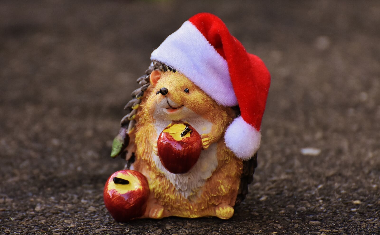 Nikon D7200 sample photo. Hedgehog, figure, christmas photography