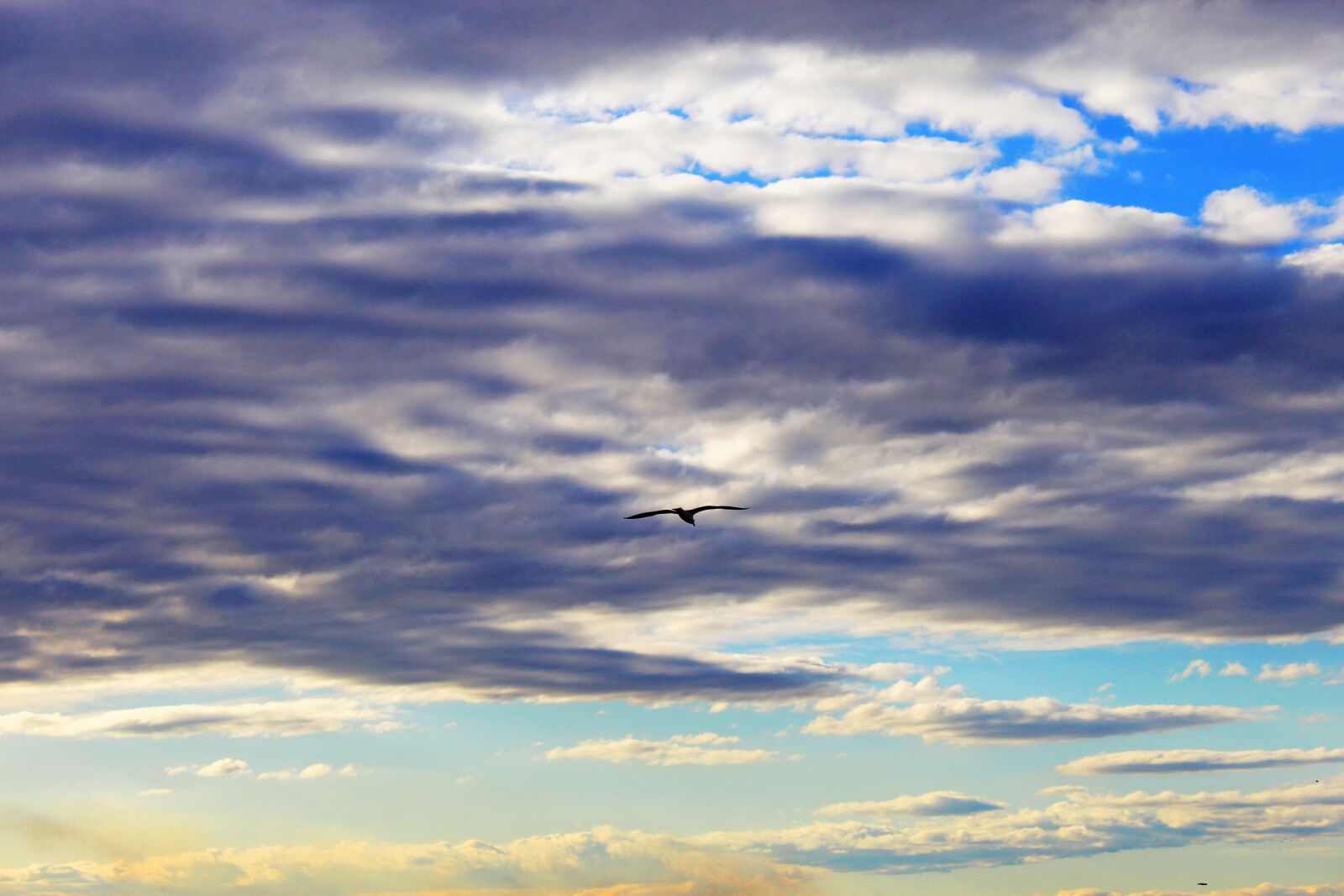 Canon EOS 4000D (EOS Rebel T100 / EOS 3000D) sample photo. Sky, heaven, clouds photography