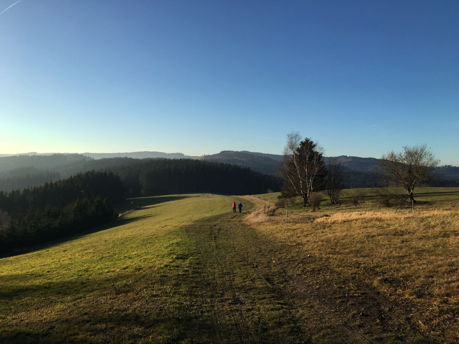 Apple iPhone 6s sample photo. Czech republic, grass, hill photography