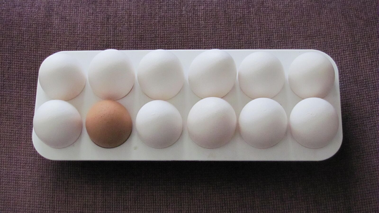 Canon PowerShot SX120 IS sample photo. Eggs, food, breakfast photography