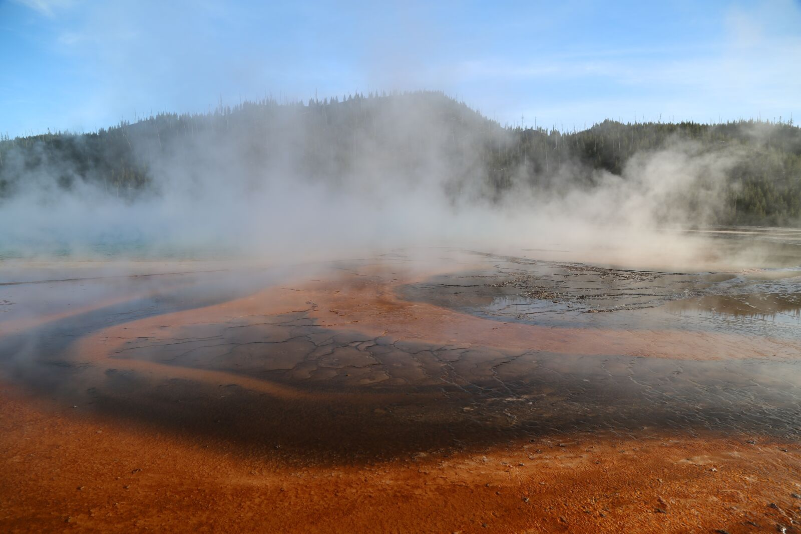Canon EOS 6D + Canon EF 24-105mm F4L IS USM sample photo. Yellowstone national park, united photography