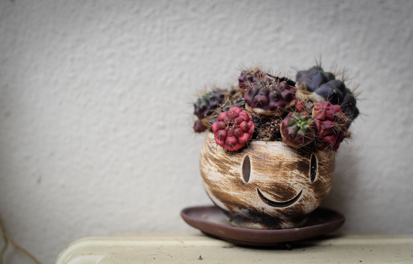 Nikon D700 sample photo. Smile, happy, plants photography