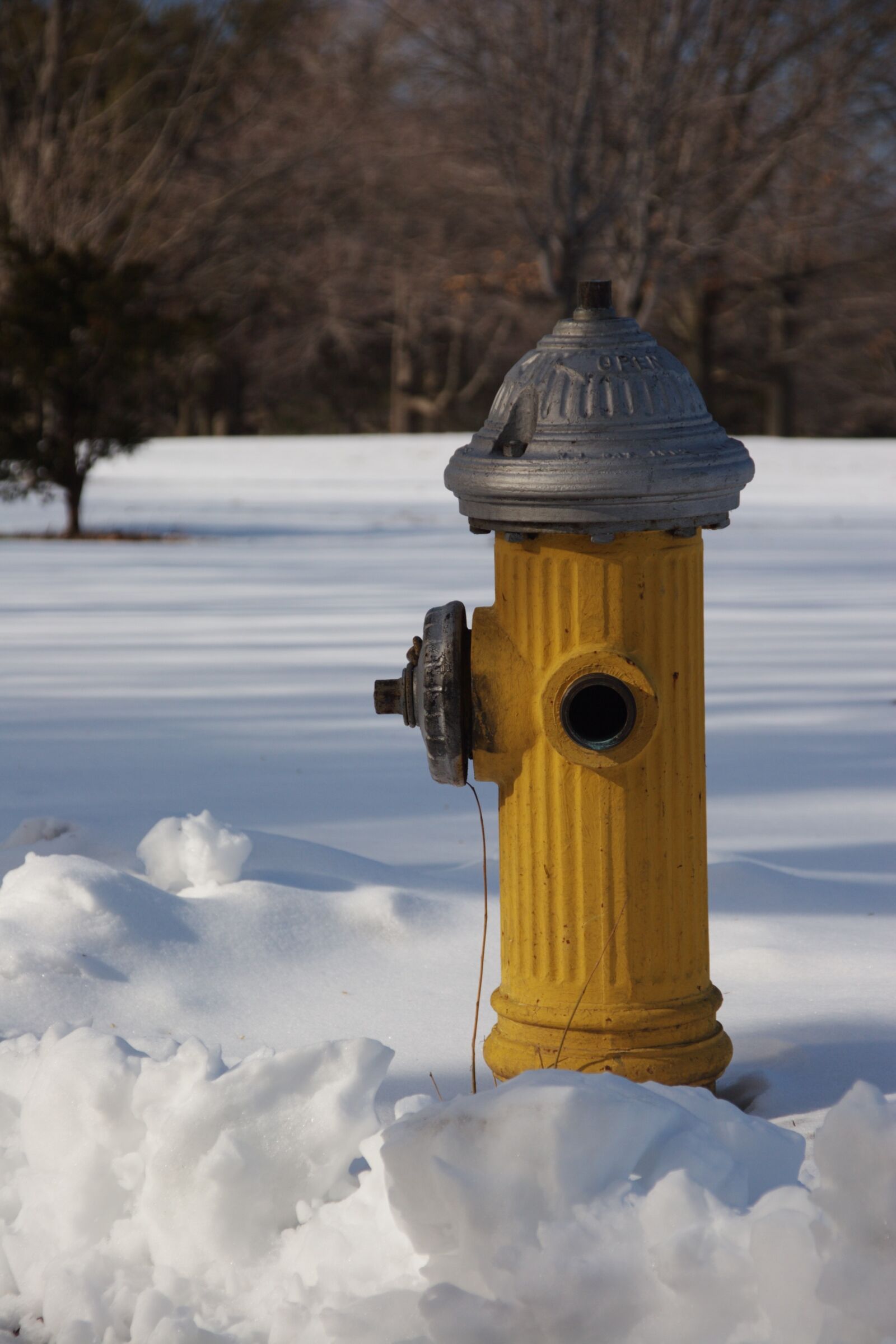 Canon EOS 20D sample photo. Snow, hydrant, yellow photography