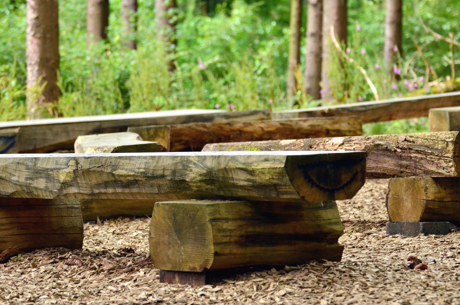 Nikon D5100 sample photo. Bench, wooden, forest, soil photography