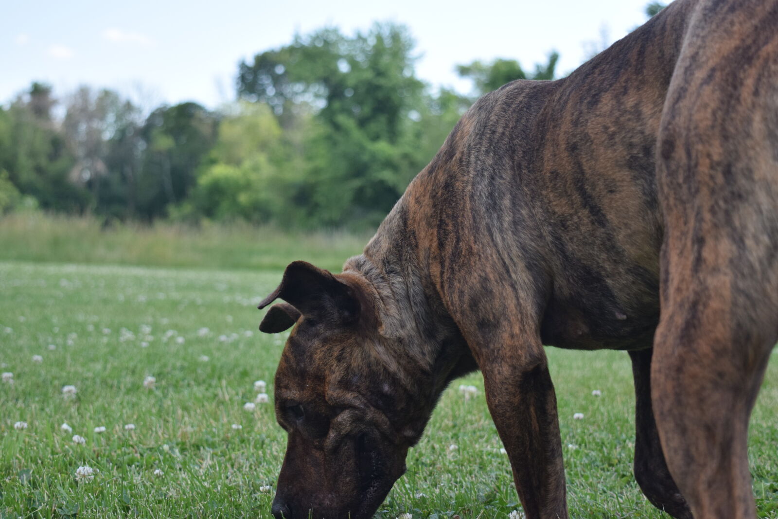 Nikon D3300 sample photo