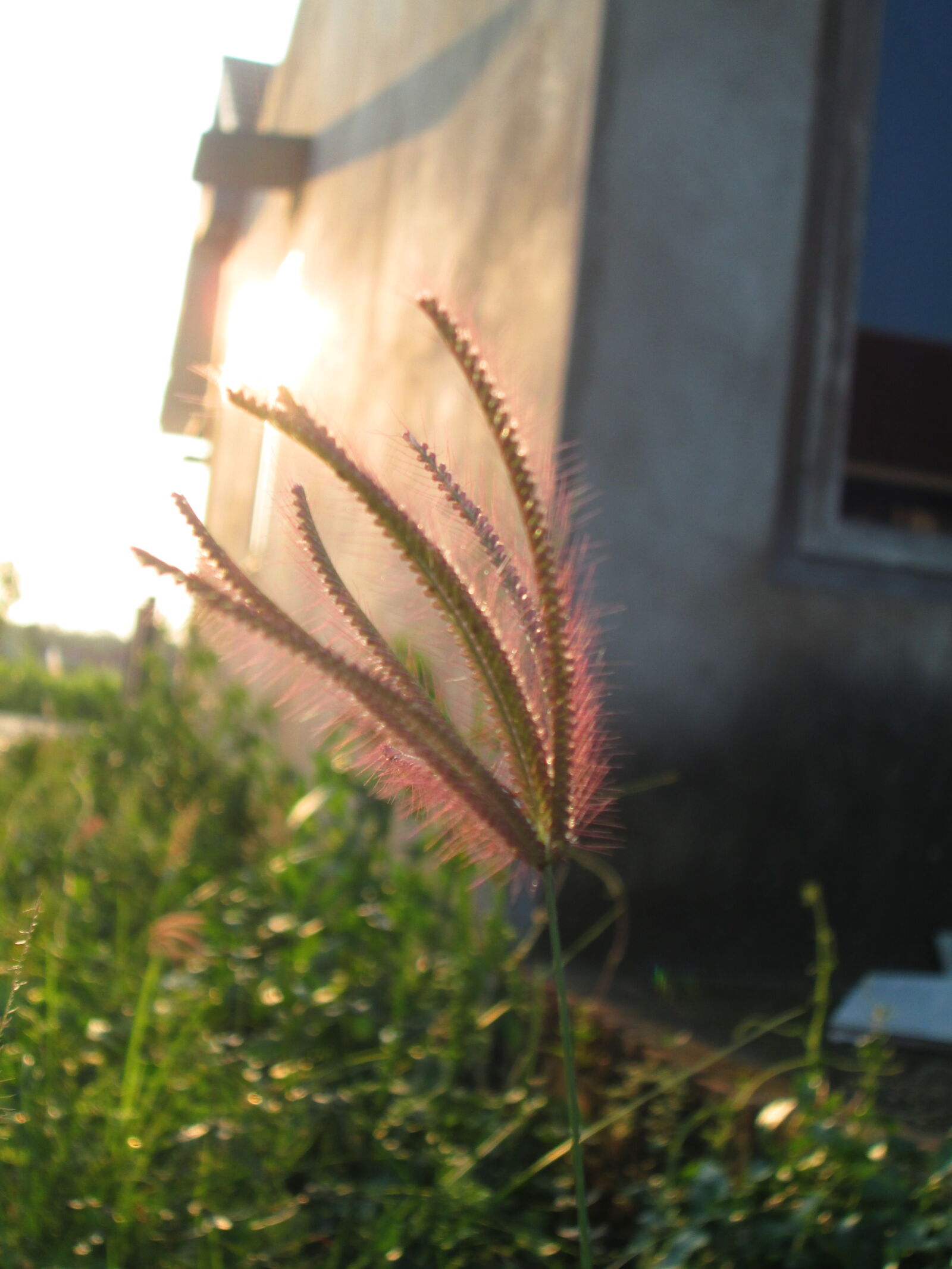 Canon PowerShot A2300 sample photo