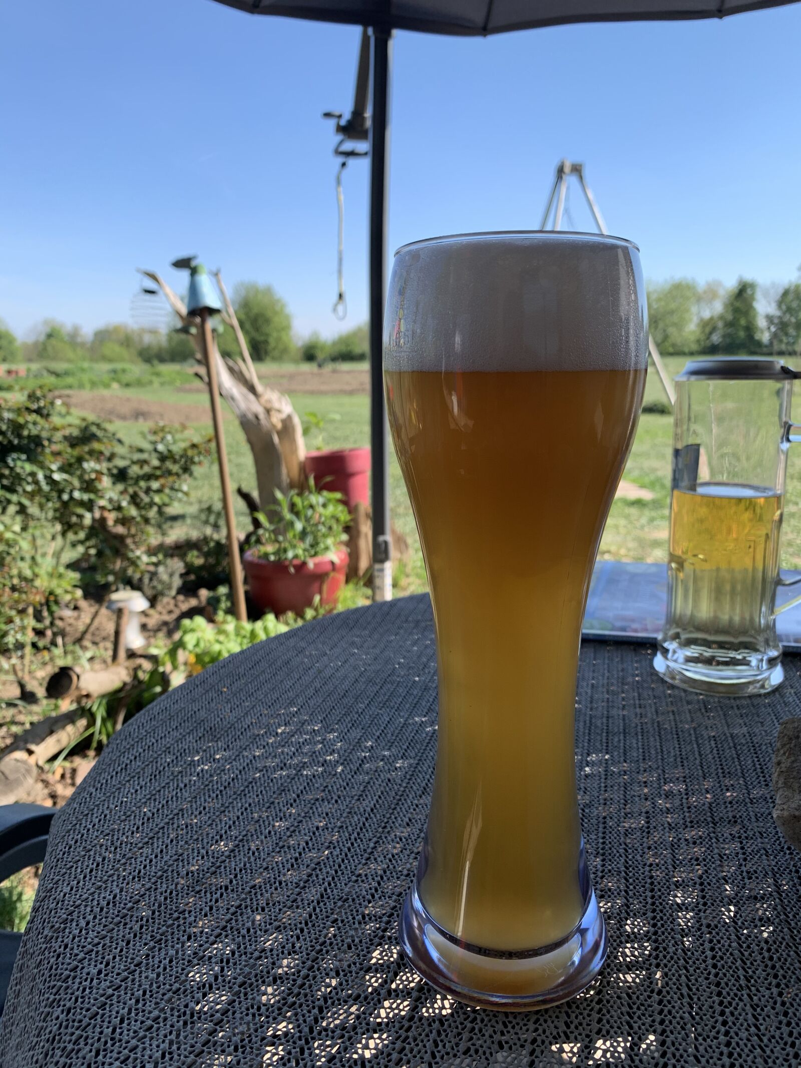 Apple iPhone XR sample photo. Wei bier, glas, genie photography