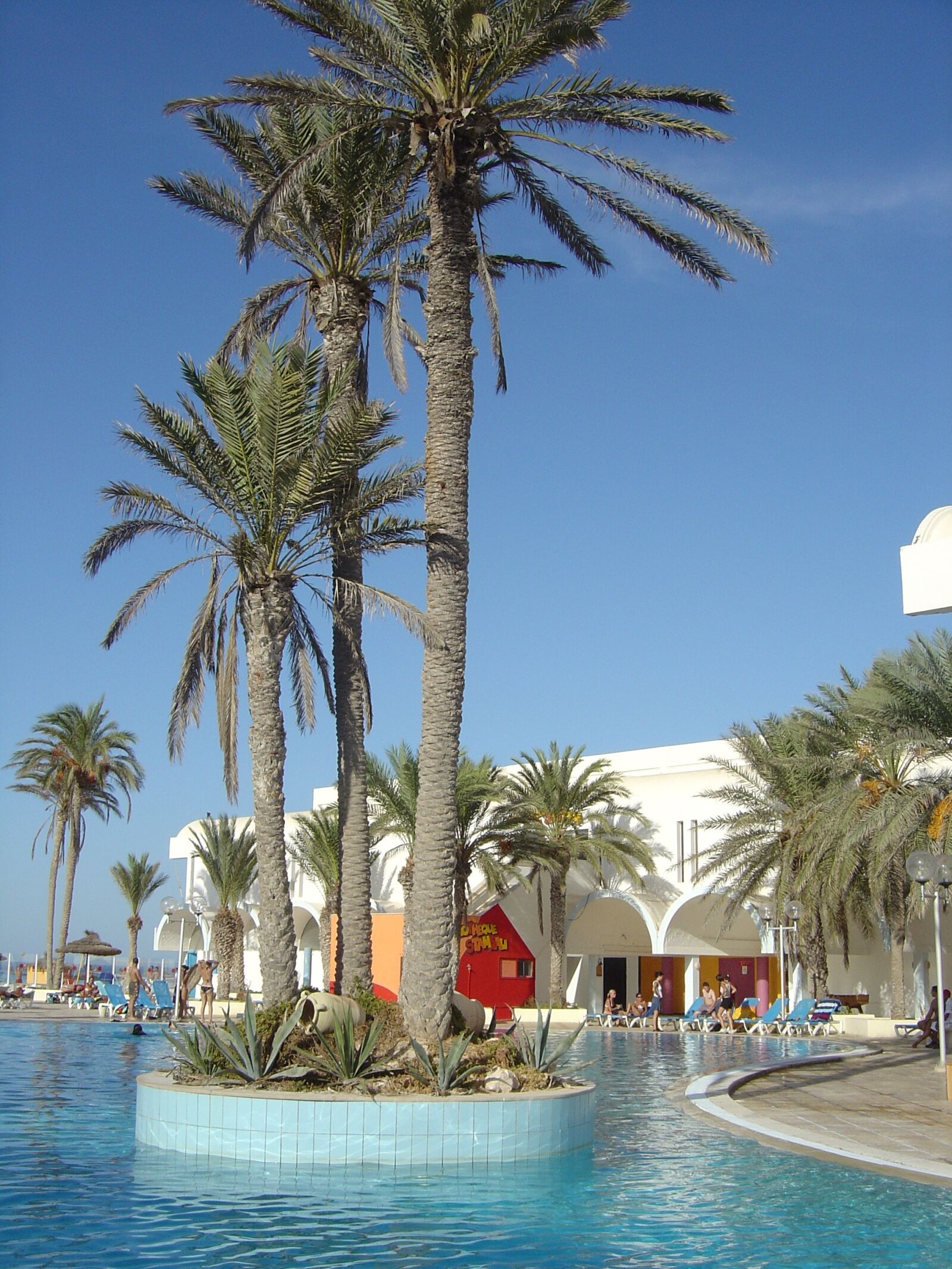 Sony DSC-P10 sample photo. Tunisia, hotel, palm photography
