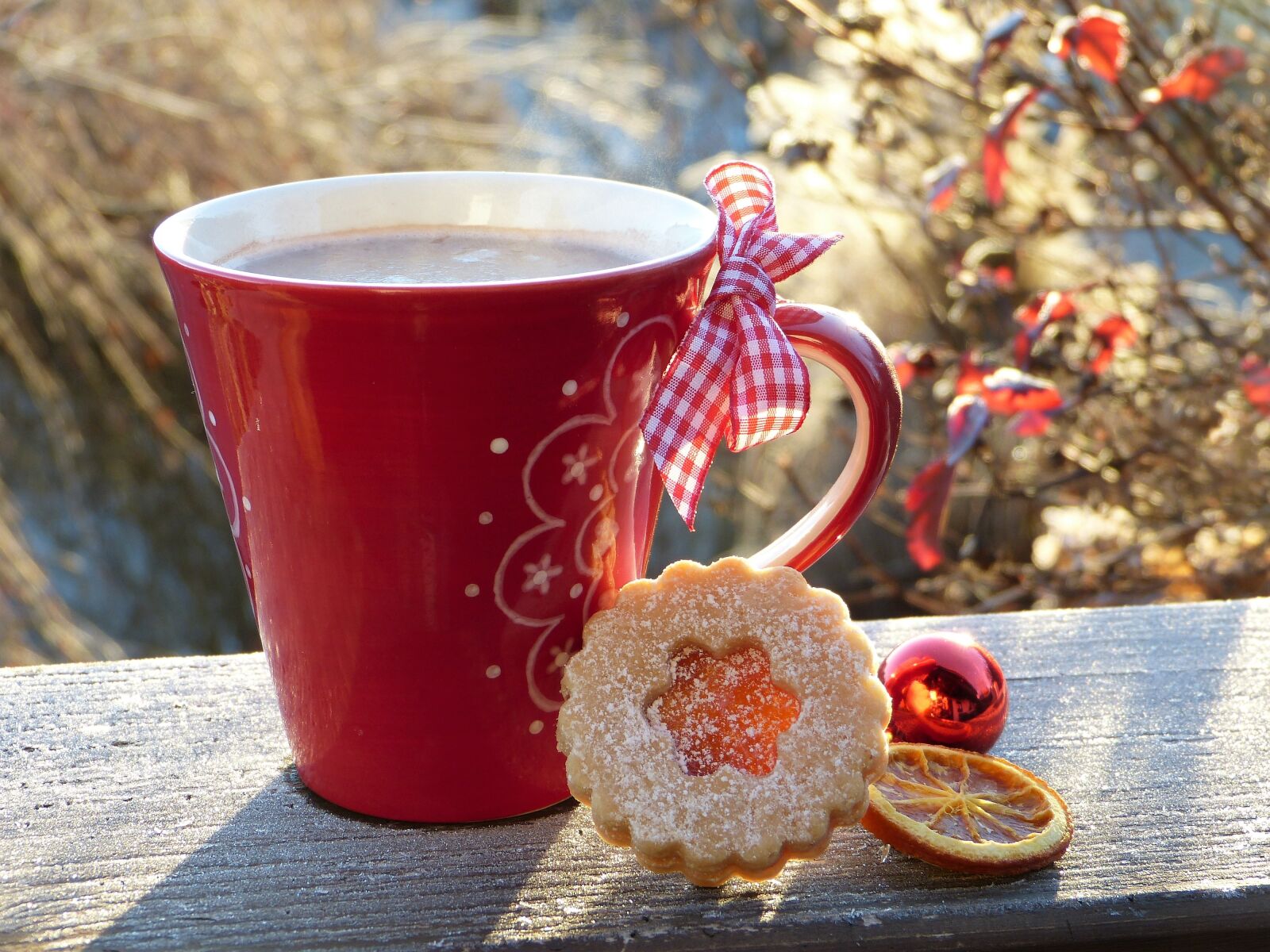 Panasonic Lumix DMC-FZ150 sample photo. Cup, red, cookie photography