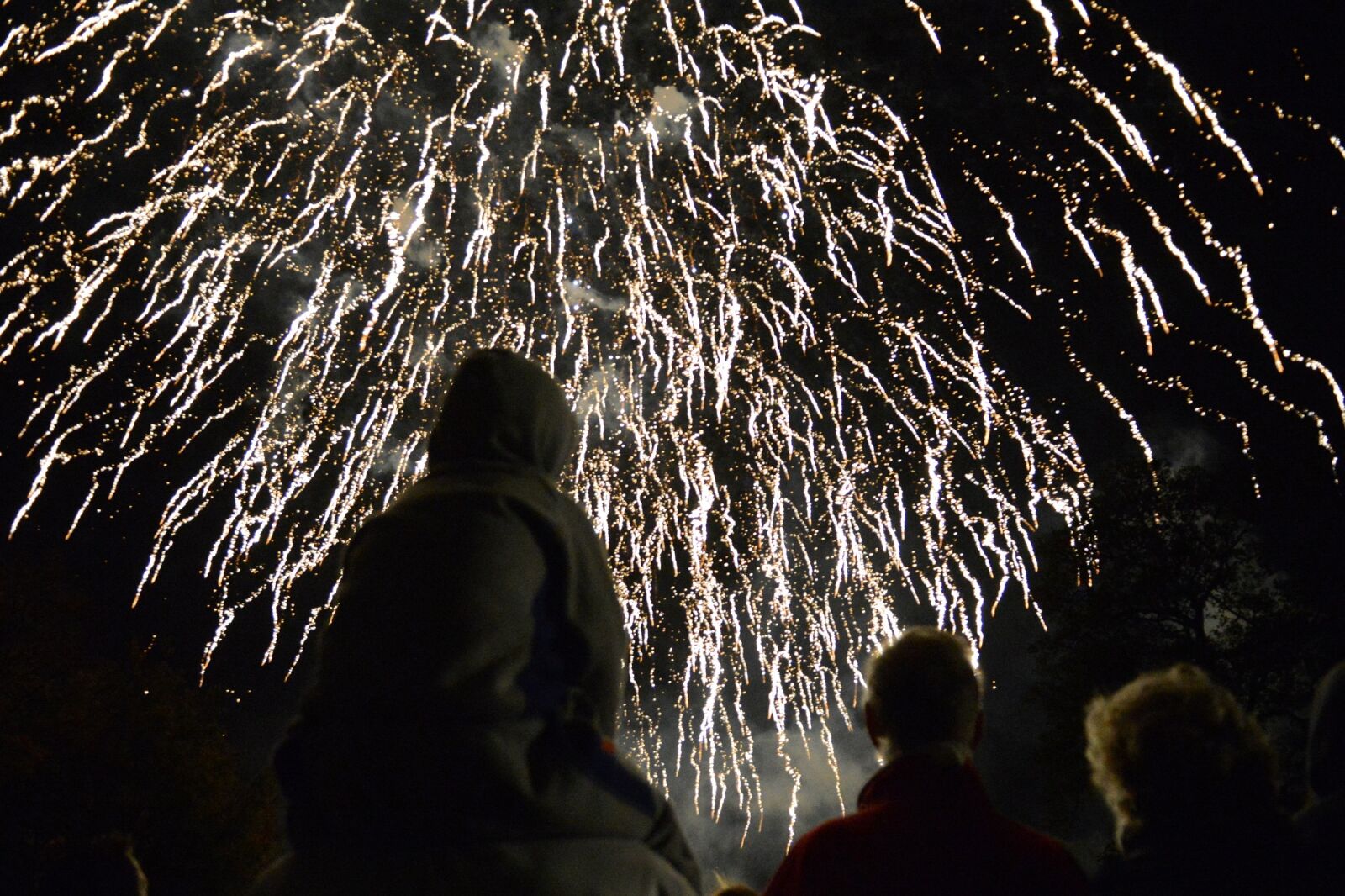 Nikon D600 sample photo. Fireworks, spectacle, colorful photography
