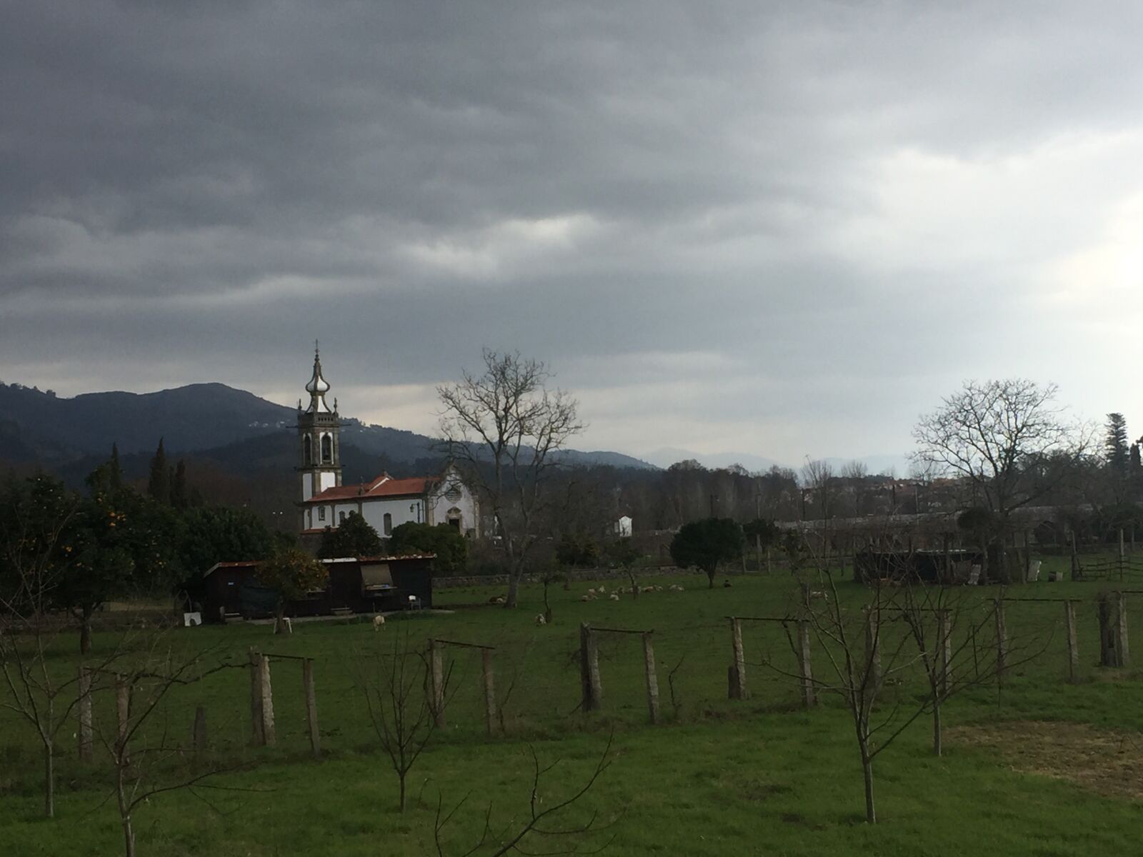 iPhone 6 back camera 4.15mm f/2.2 sample photo. Lime bridge, portugal, farm photography