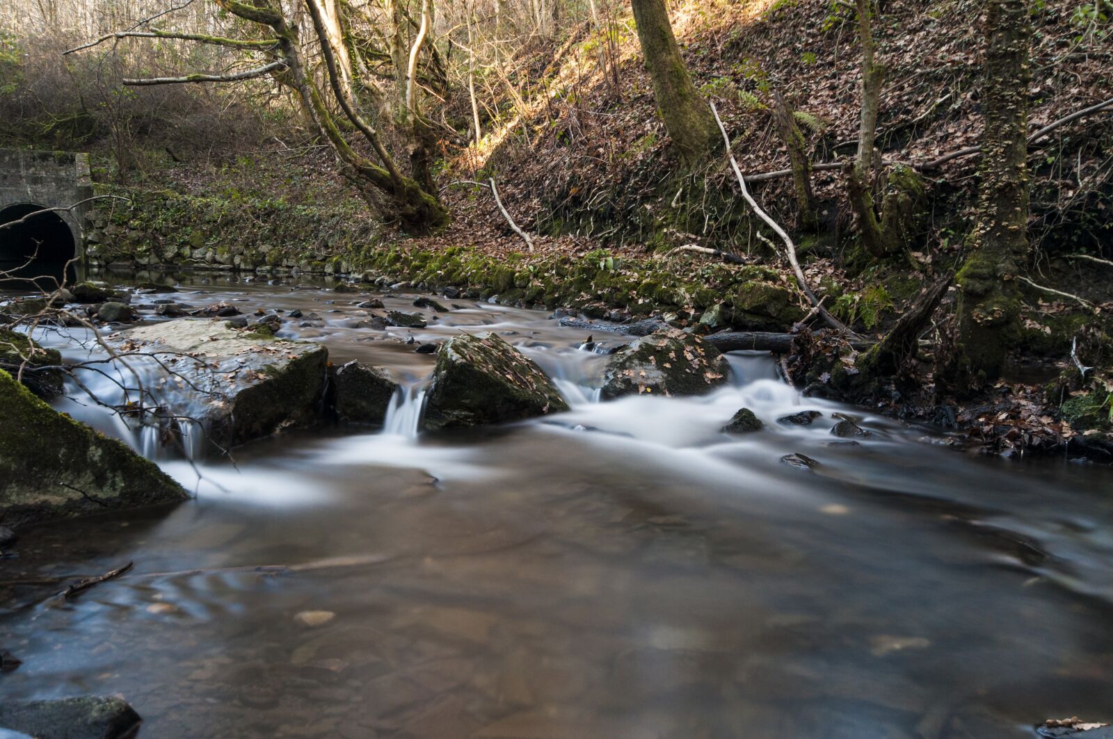 Nikon D90 sample photo. Water, river, landscape photography
