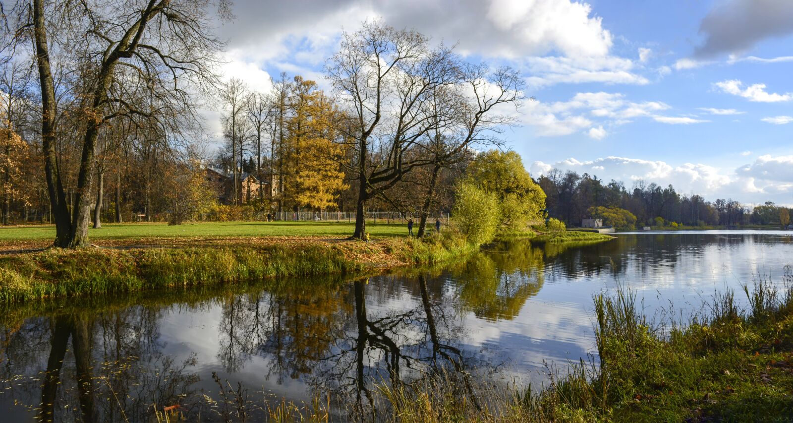 Nikon D5200 sample photo. Panorama, park, landscape photography
