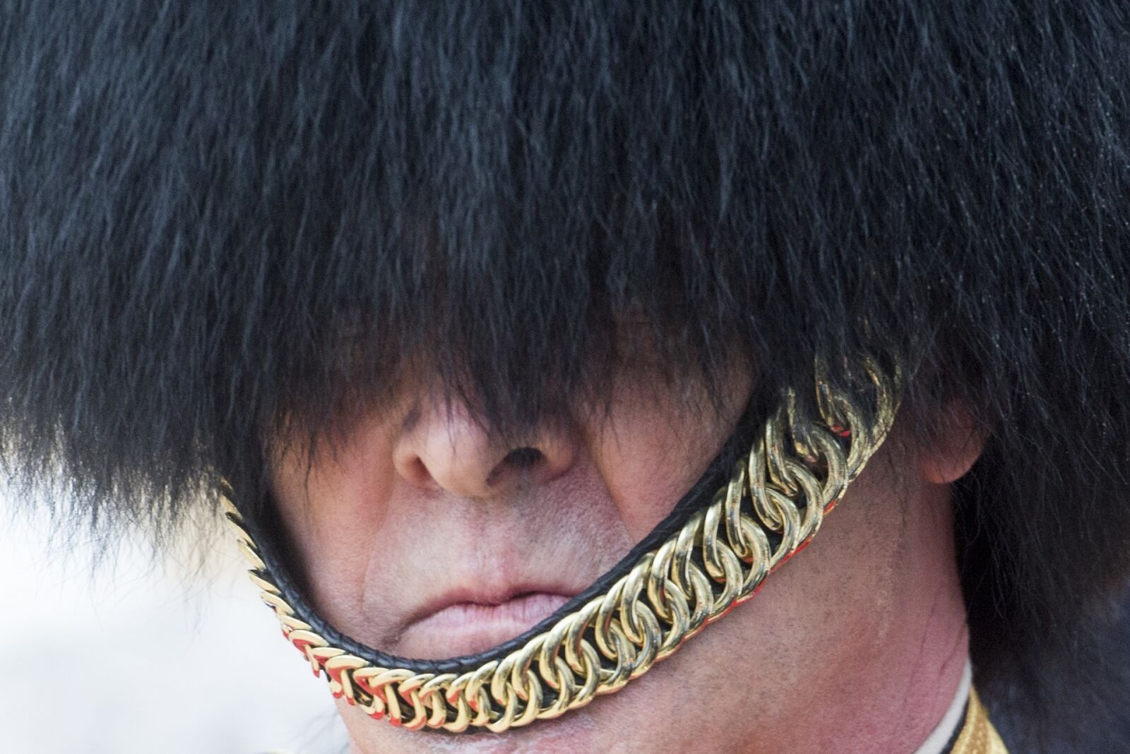 Nikon D800 sample photo. Military, army, foot guards photography