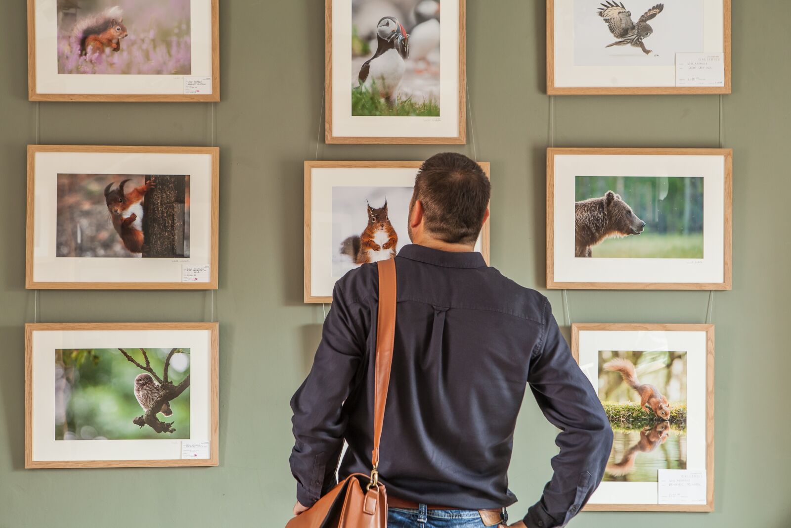 Canon EOS 5D Mark II sample photo. Gallery, art, exhibition photography