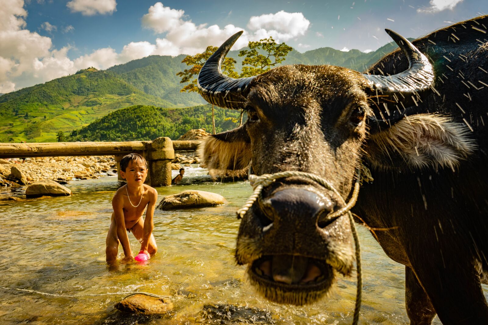 Sony a7 + Sony FE 28-70mm F3.5-5.6 OSS sample photo. Animal, child, mountain photography