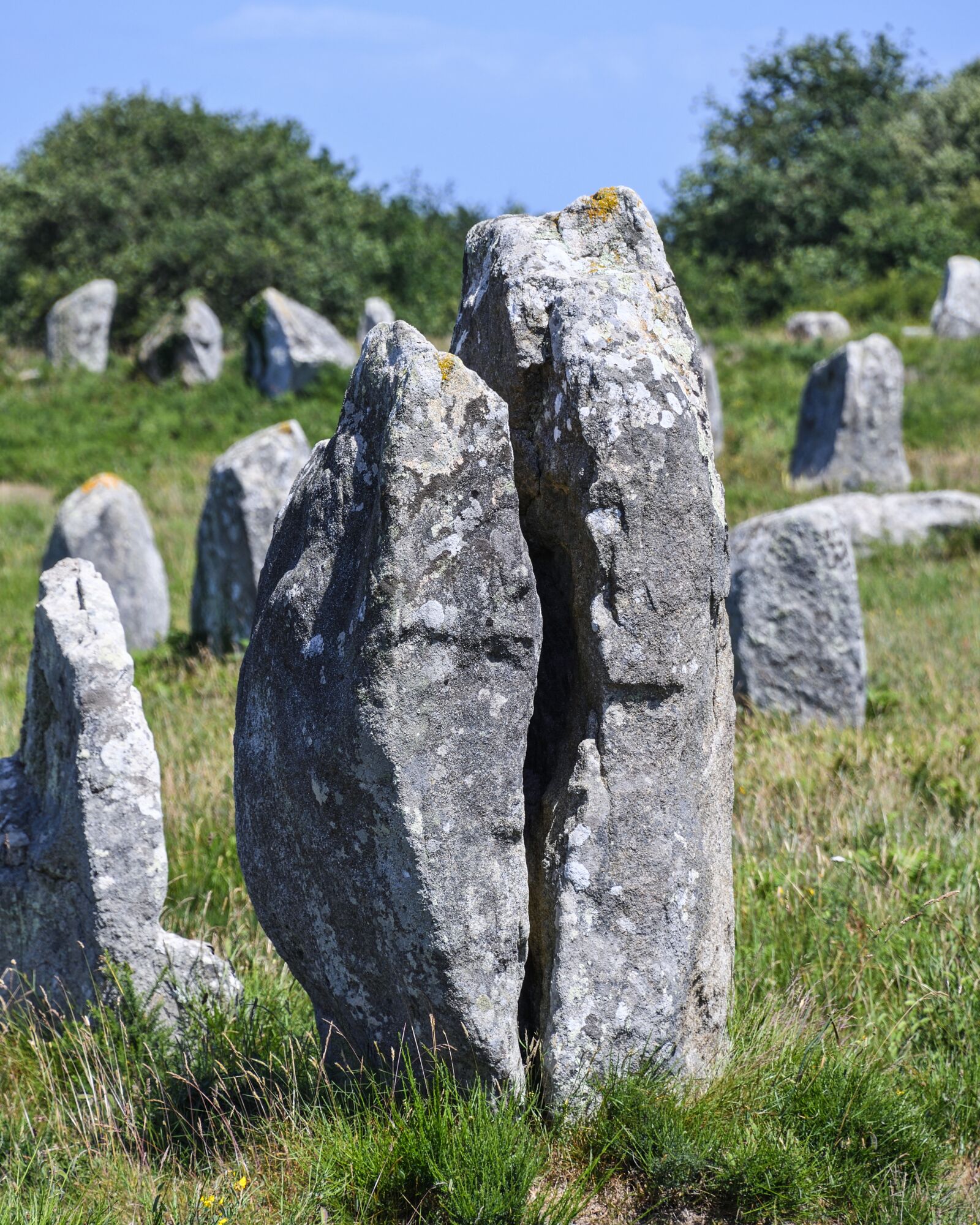 Nikon D500 sample photo. Menhir, pierre, carnac photography