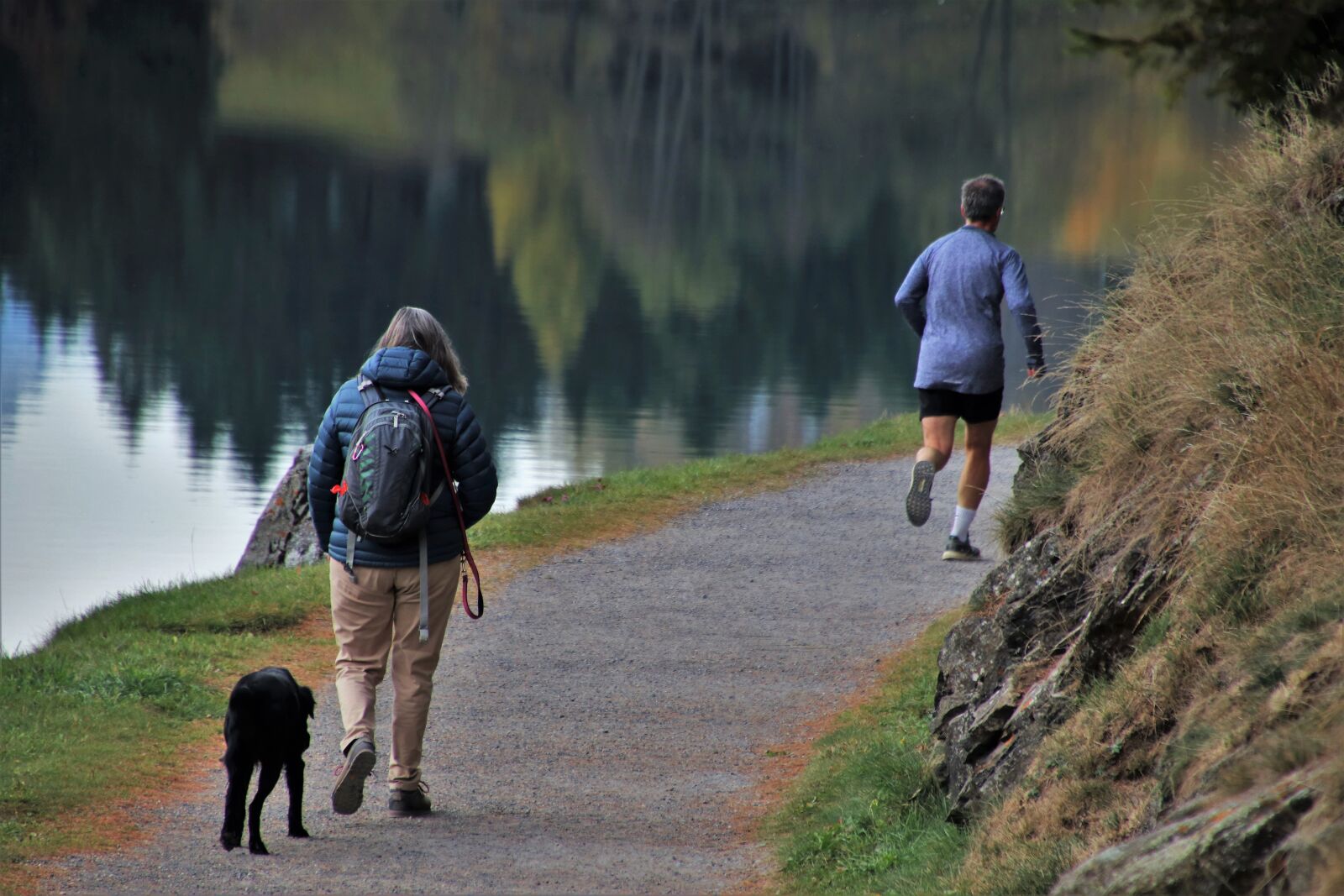 Canon EOS 80D sample photo. Morning, running, the path photography
