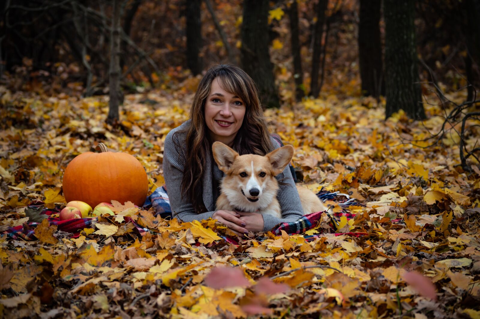 Nikon D3200 sample photo. Welsh corgi pembroke, corgi photography