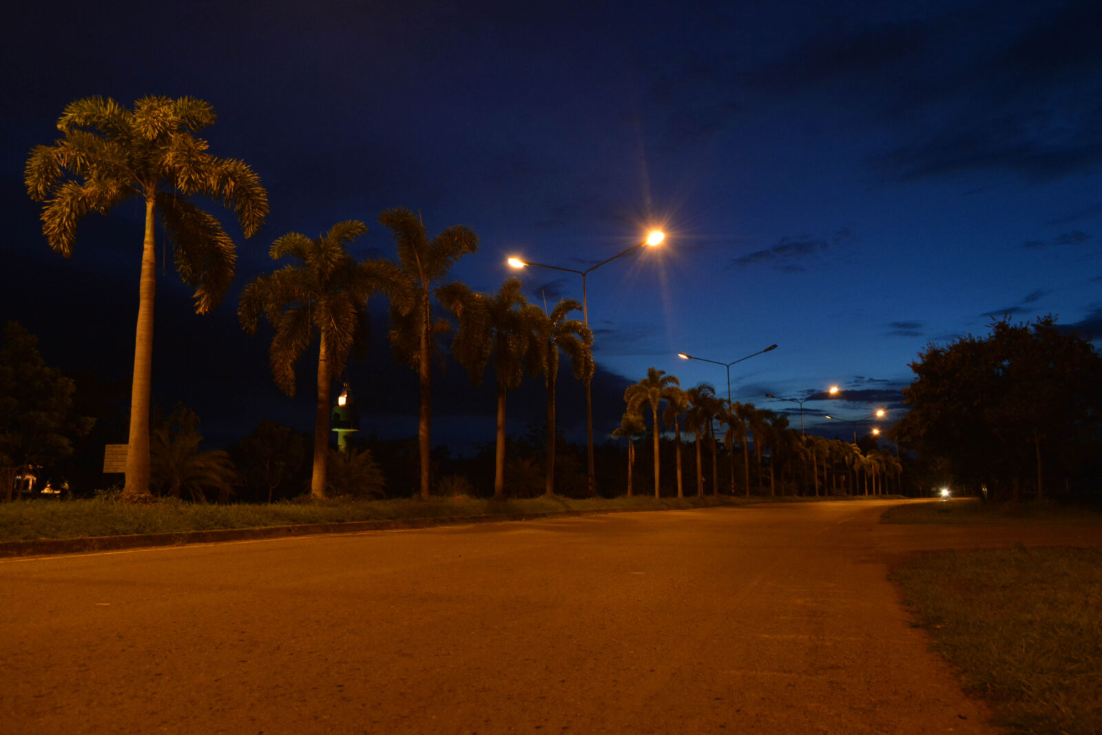 Nikon D5200 sample photo