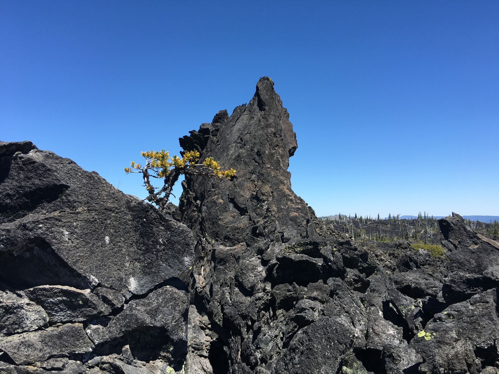 Apple iPhone 6s Plus sample photo. Magma, obsidian, landscape photography
