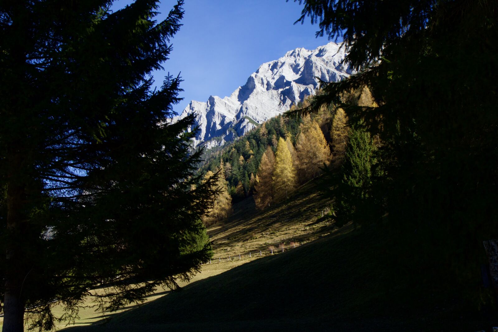 Canon EOS 70D sample photo. Mountains, alpine, fir tree photography