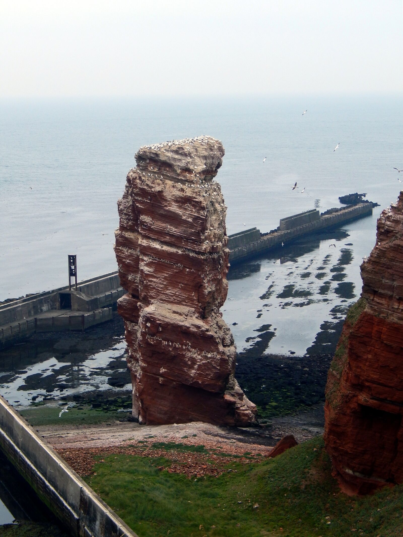 Nikon Coolpix L820 sample photo. Helgoland, lange anna, sea photography