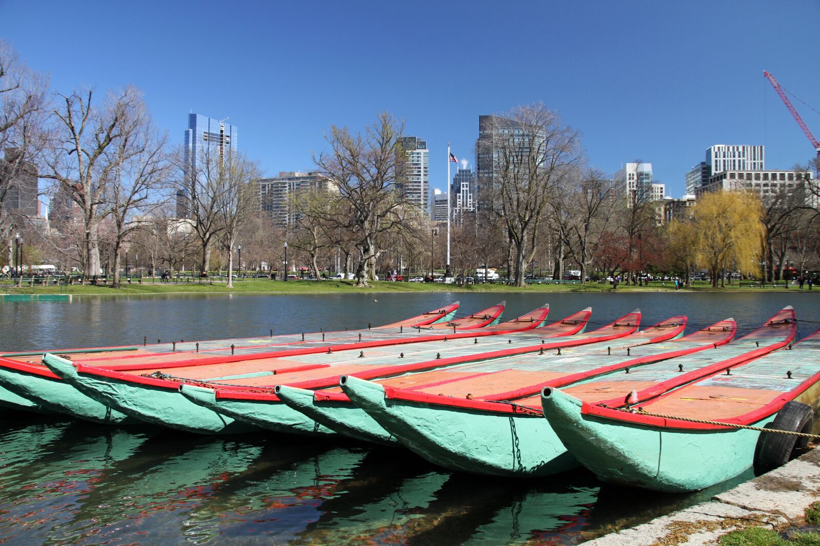 Canon EOS 7D sample photo. Public garden, boston, park photography