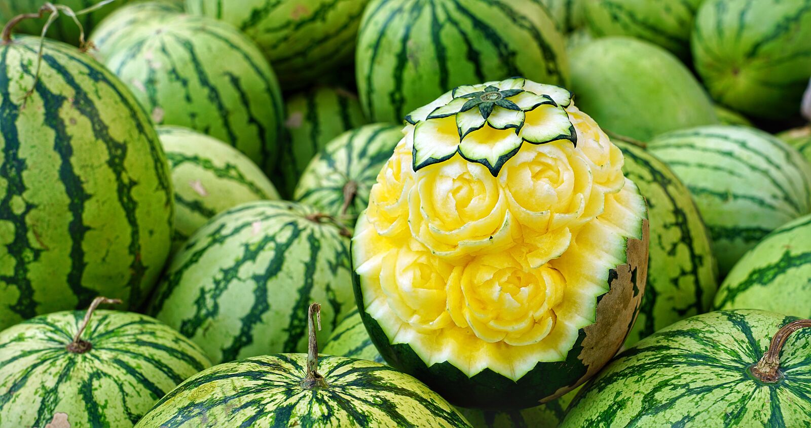 Sony a7R II + Sony FE 24-70mm F2.8 GM sample photo. Water, melons, yellow photography
