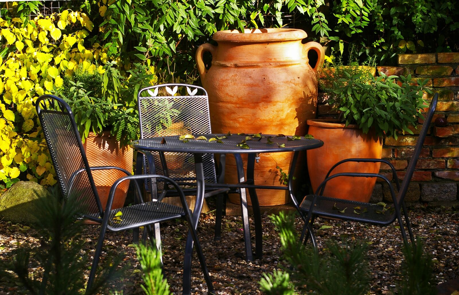 Pentax *ist DL2 sample photo. Mediterranean, garden, autumn photography