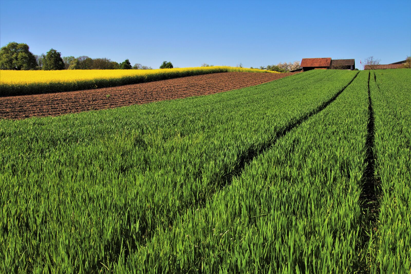Canon EOS 80D sample photo. The horizon, orka, agriculture photography