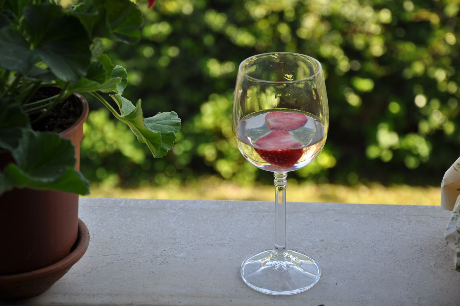 Nikon D5000 sample photo. Prosecco, strawberry, champagne photography