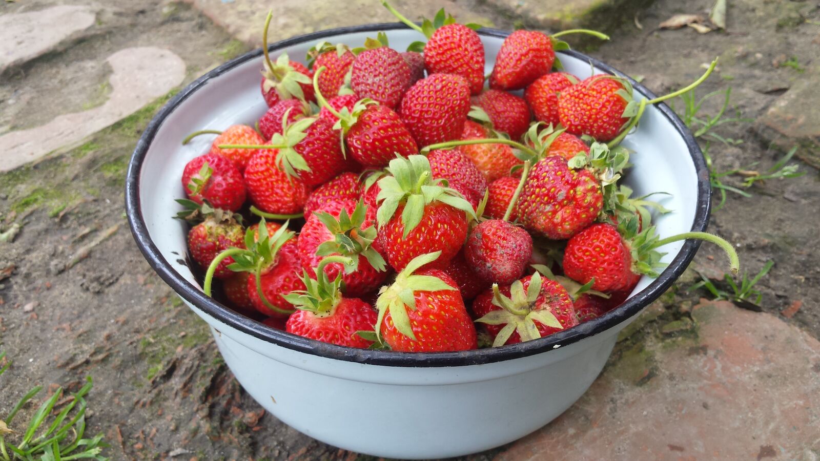 Samsung Galaxy S4 sample photo. Strawberry, berry, summer photography
