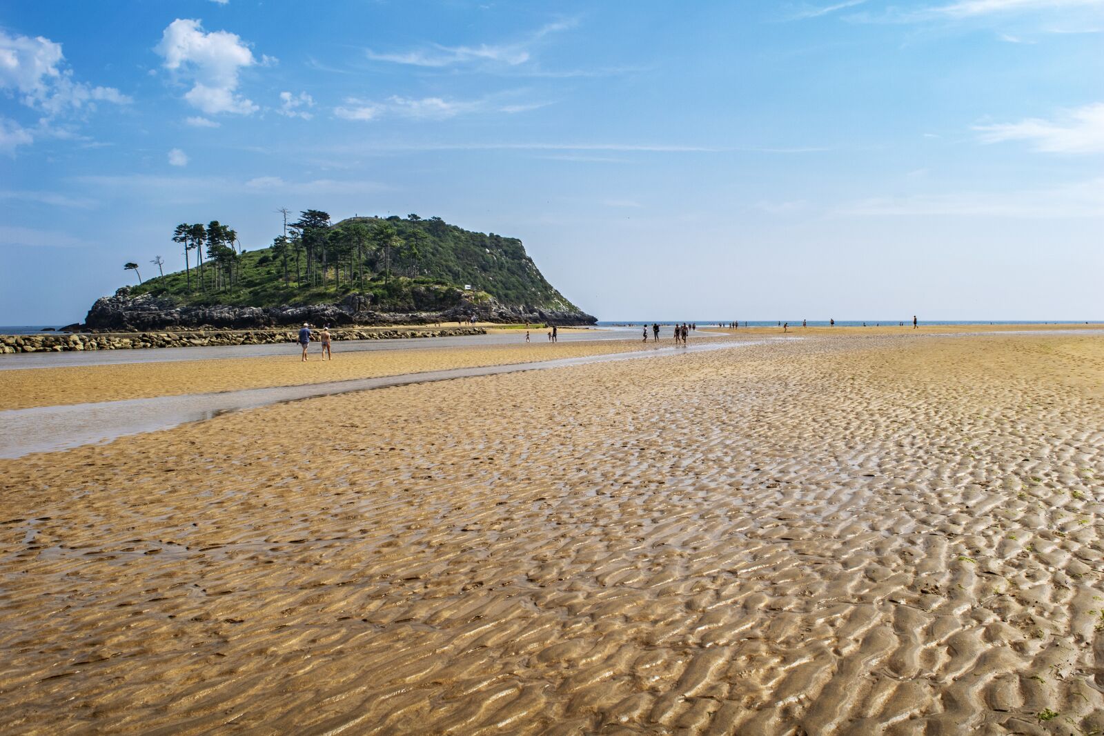 Nikon D3300 sample photo. Low tide, sea, landscape photography
