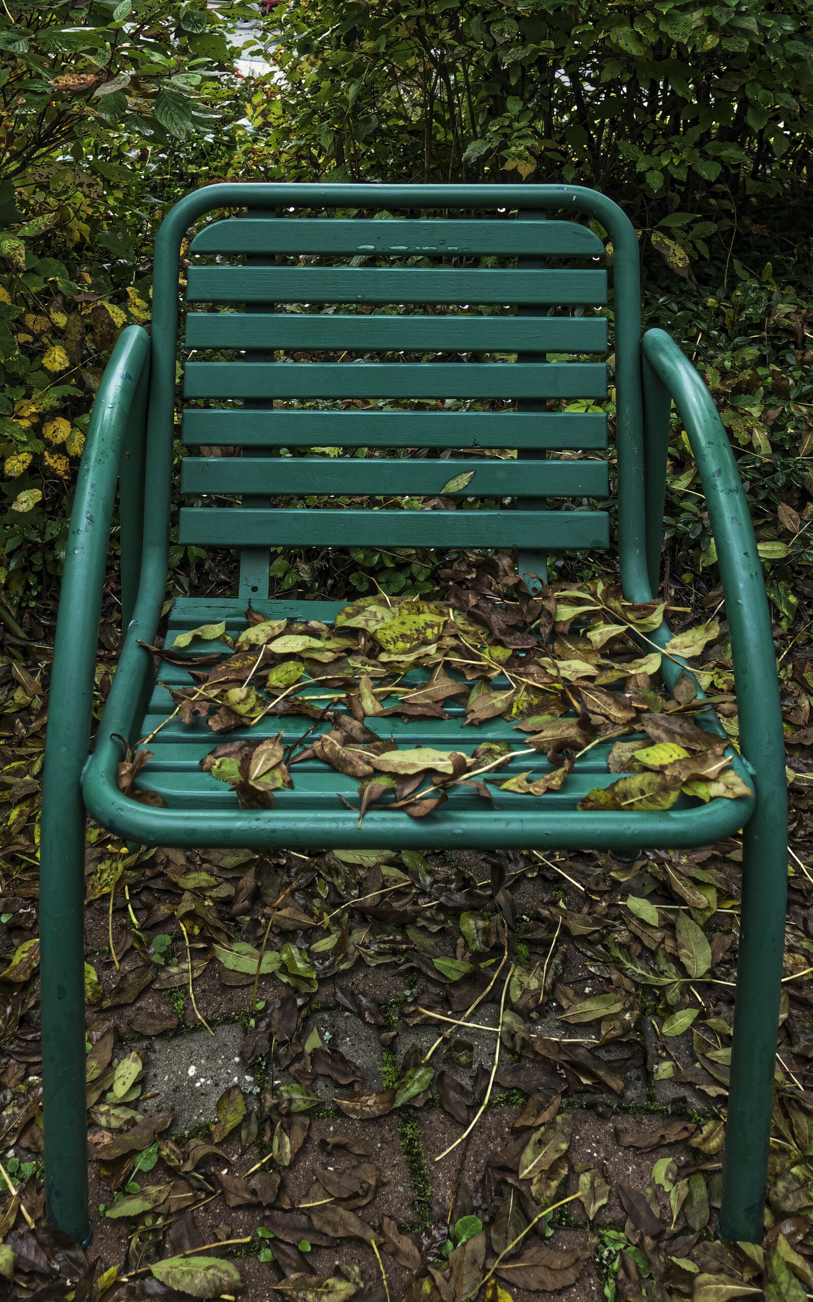 Panasonic Lumix DMC-FZ1000 sample photo. Fall foliage, chair, garden photography