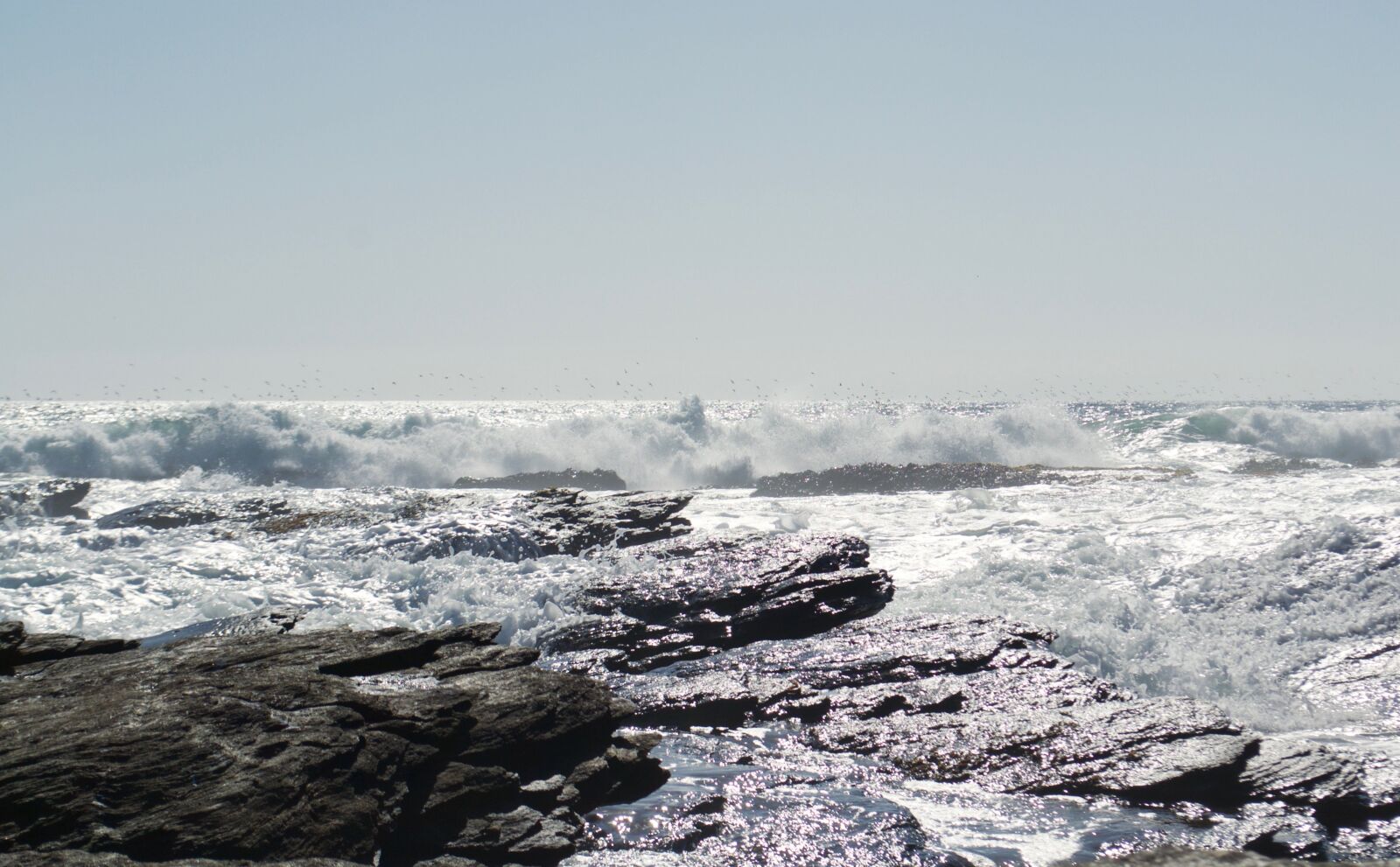Nikon D3100 sample photo. Sea, ocean, waves photography