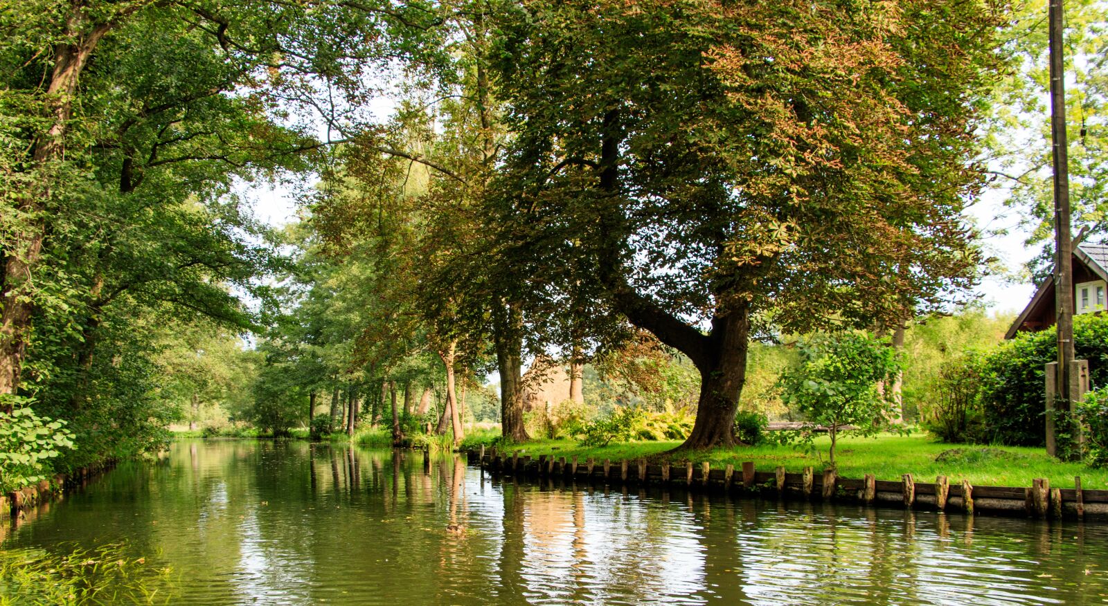Canon EOS 80D sample photo. Spreewald, lübbenau, germany photography