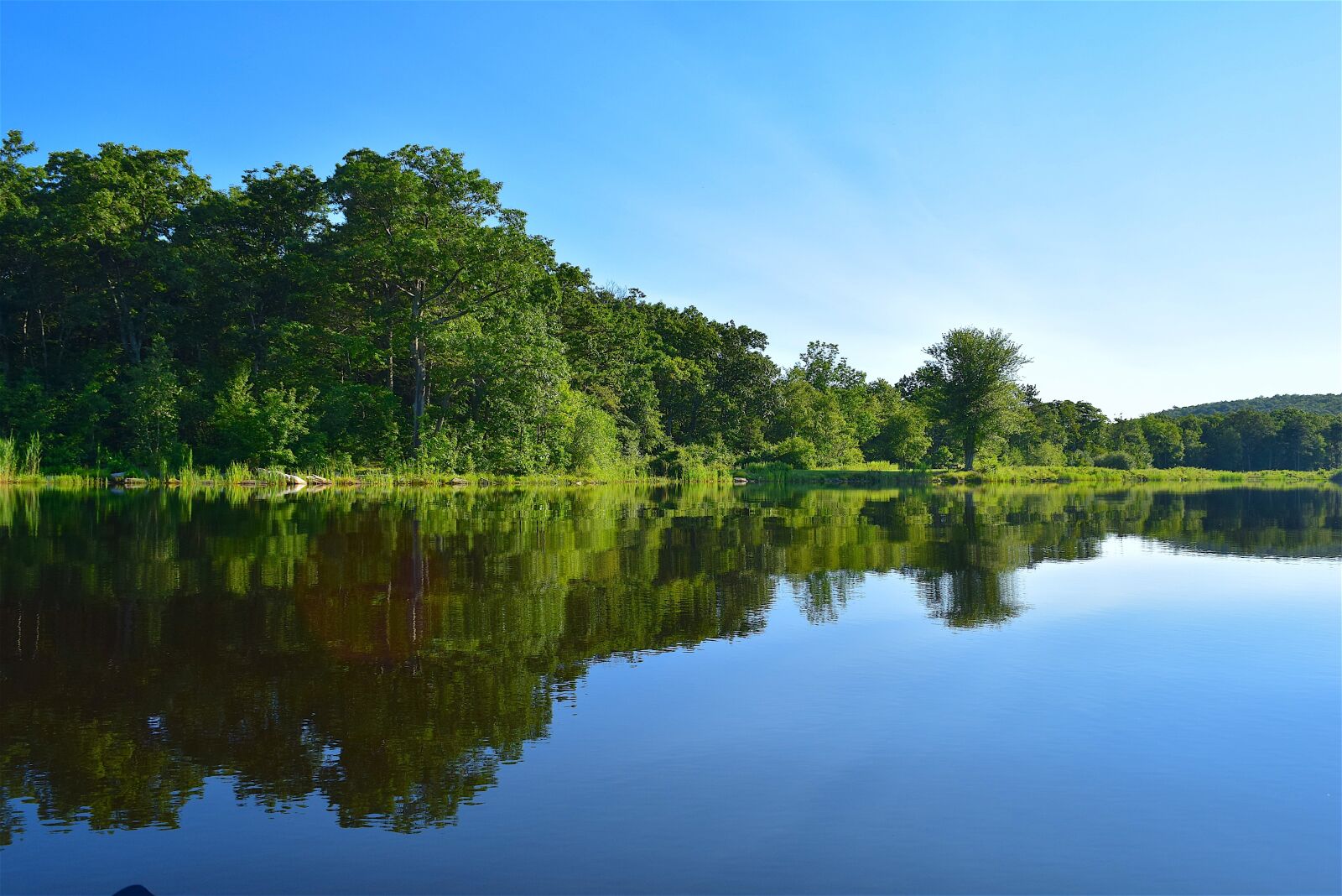 Nikon D3300 sample photo. Lake, trees, water photography