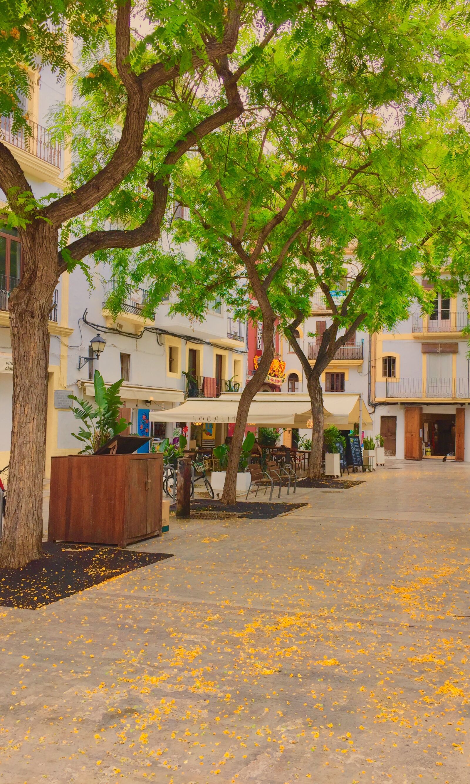 iPhone 6 back camera 4.15mm f/2.2 sample photo. Ibiza, tree, summer photography