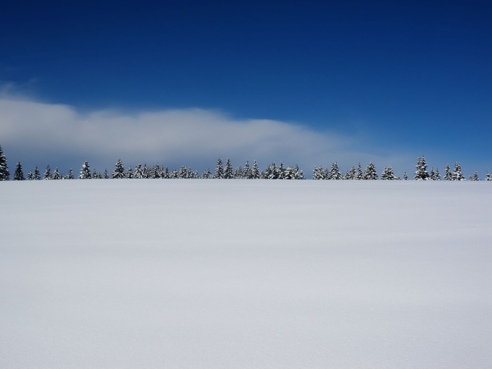Pentax Optio M60 sample photo. Winter, snow, plain photography