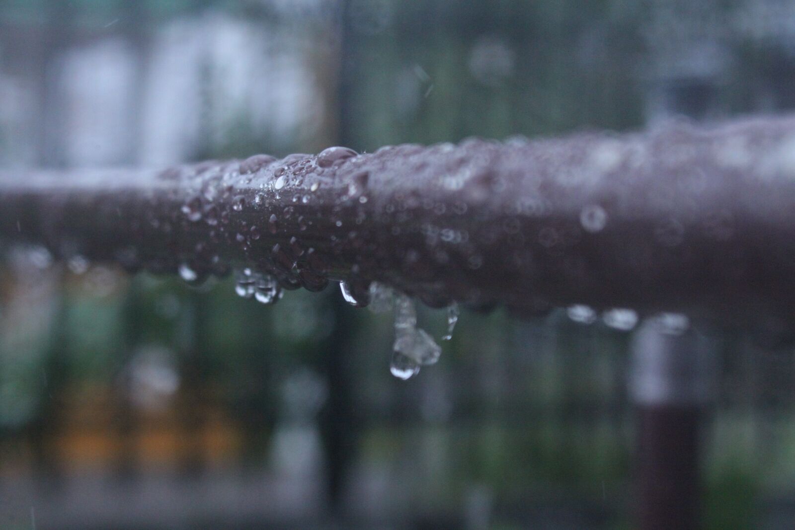 Canon EOS 50D sample photo. Water, rain, close up photography