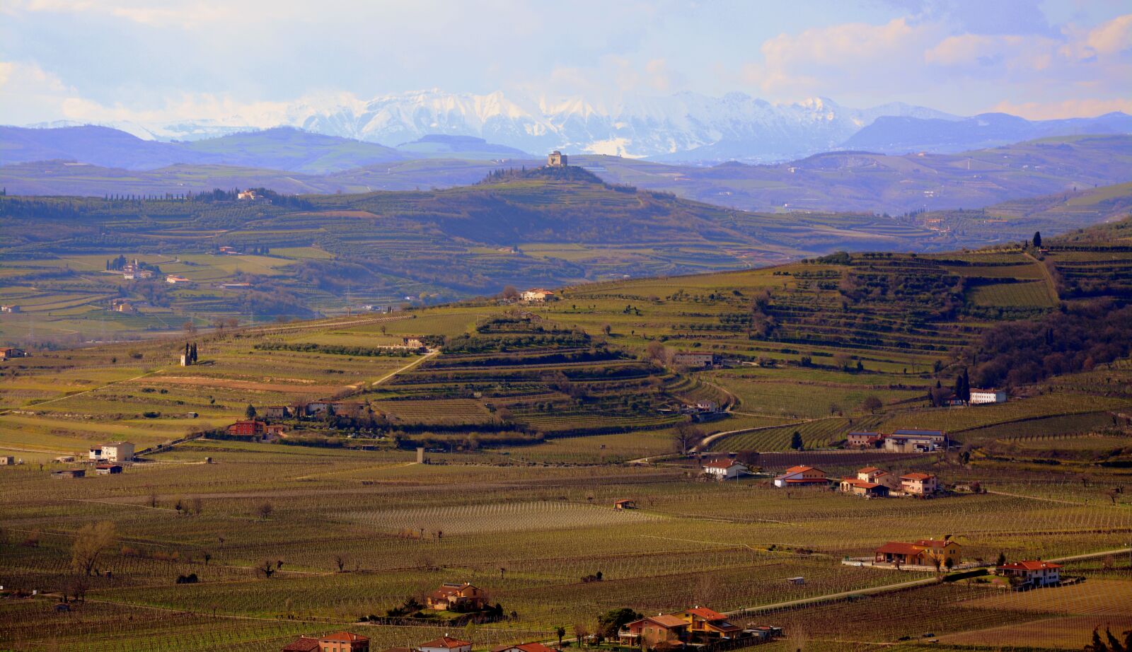 Nikon D7100 sample photo. Hill, vineyard, landscape photography