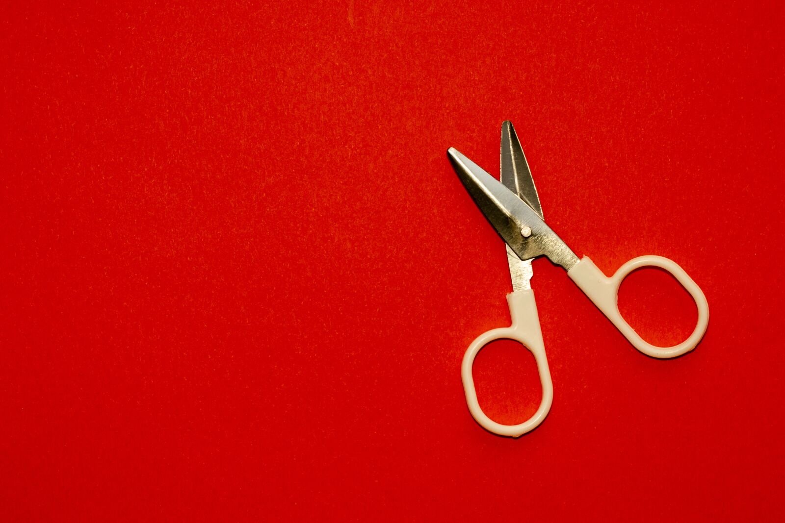 Nikon D5300 sample photo. Red, scissors, tool photography