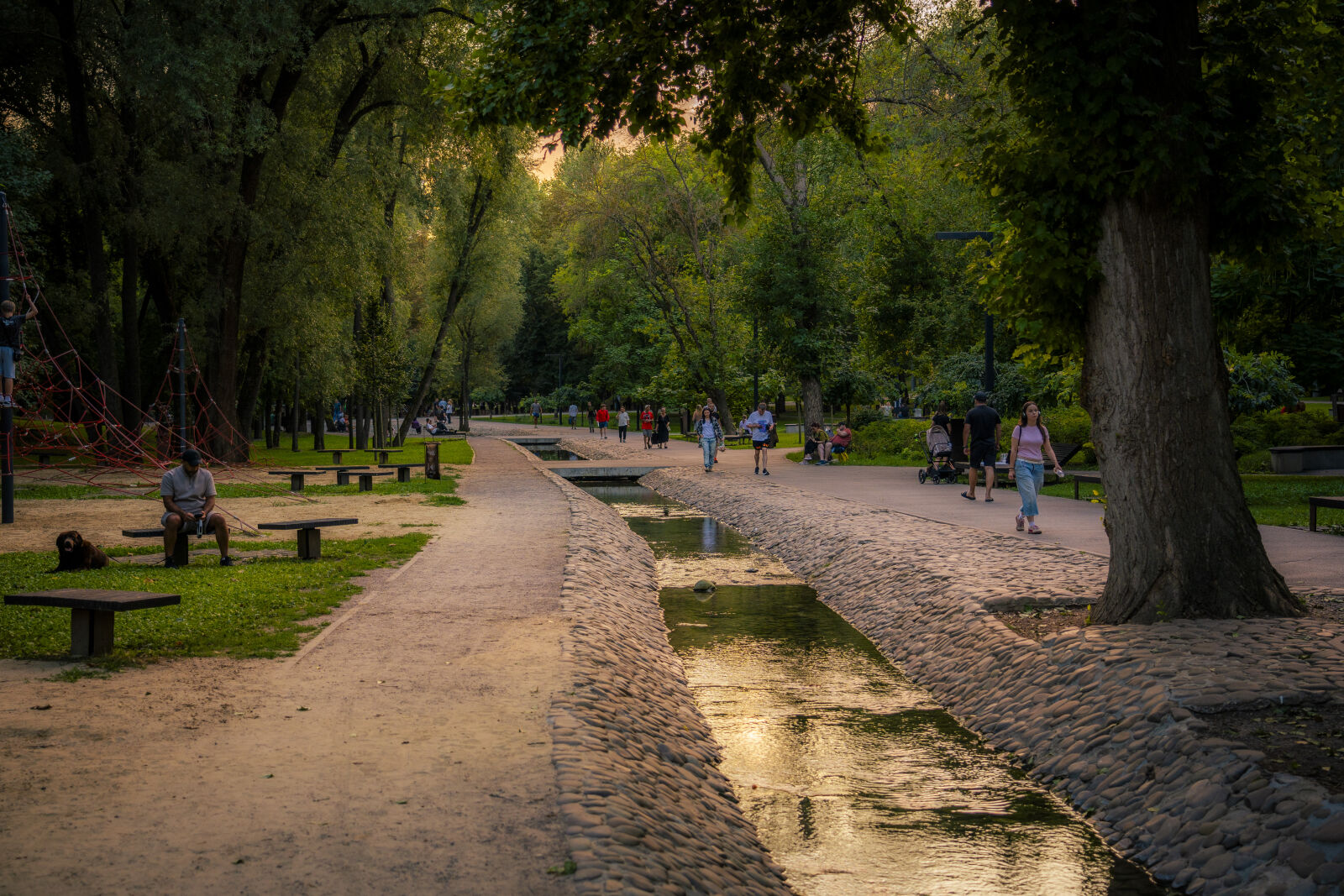 Sony a7 IV sample photo
