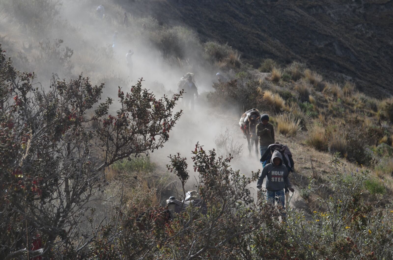 Nikon D5100 sample photo. Horses, quilotoa, afternoon photography