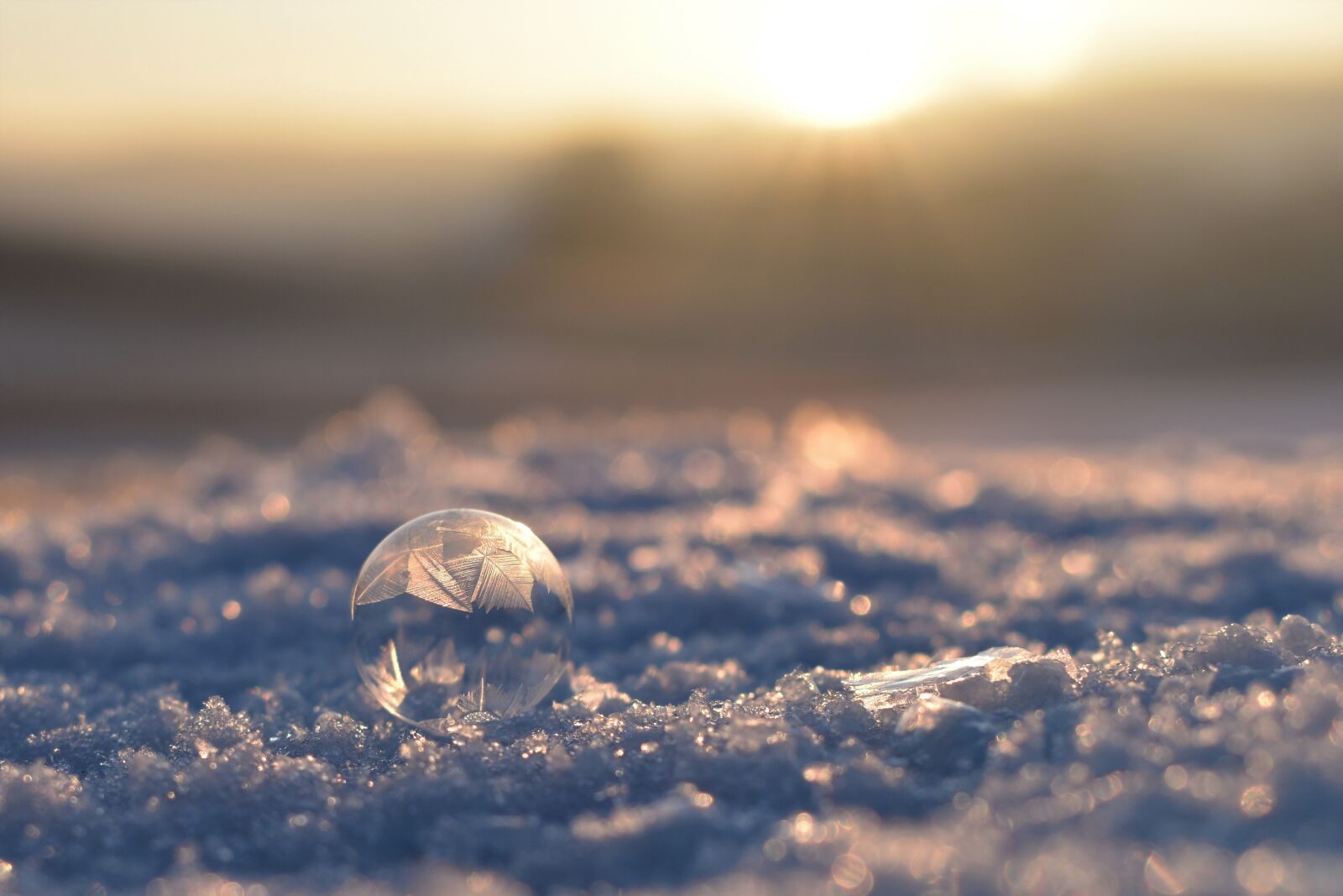 Nikon D5500 sample photo. Soap bubble, frozen, frozen photography