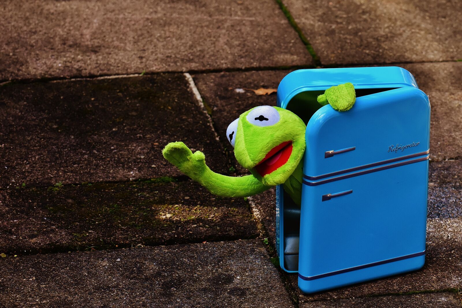 Nikon D7200 sample photo. Kermit, frog, refrigerator photography